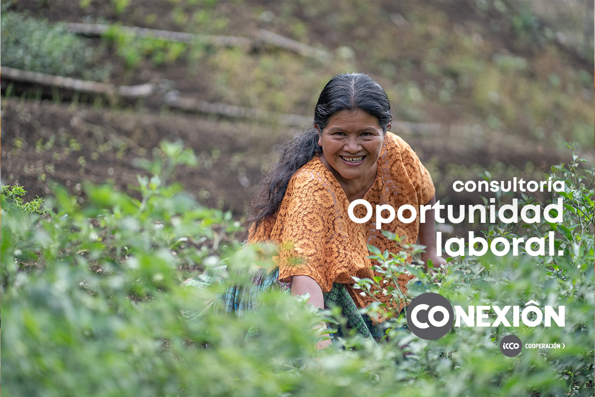 Consultoría: Gestión y Acompañamiento Financiero